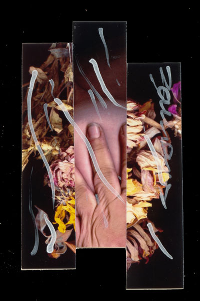 signe 10
