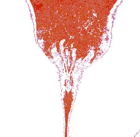 tulip00j