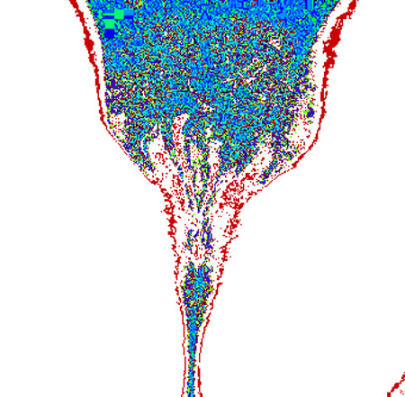 tulip01c