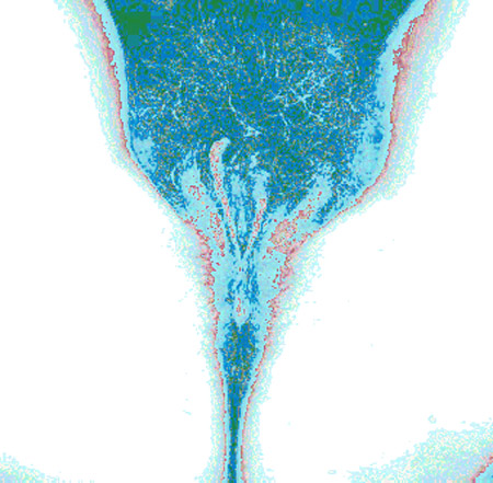 tulip03