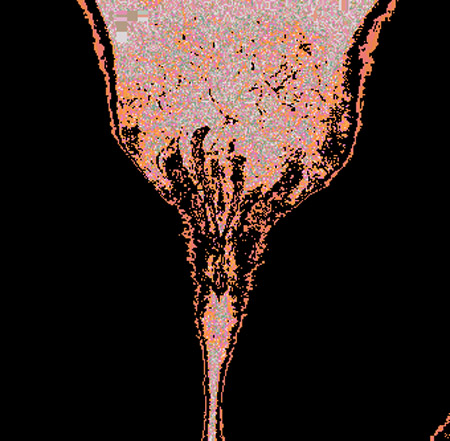 tulip08c